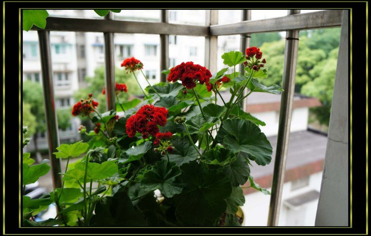 nEO_IMG_DSC00323.jpg