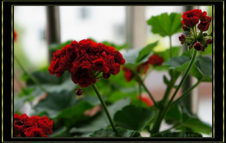 nEO_IMG_DSC00325.jpg