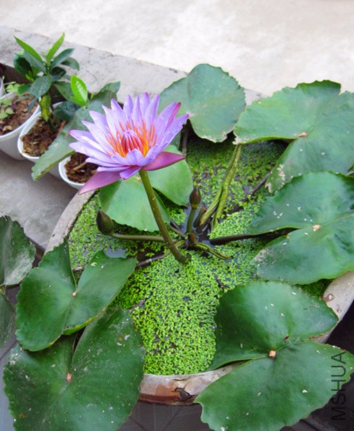 ��Ƭ 003_����.jpg