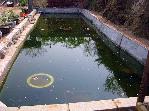 ��Ƭ 004_����.jpg