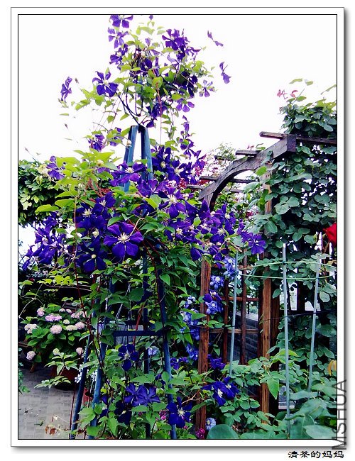 ��Ƭ5.14. 062.jpg