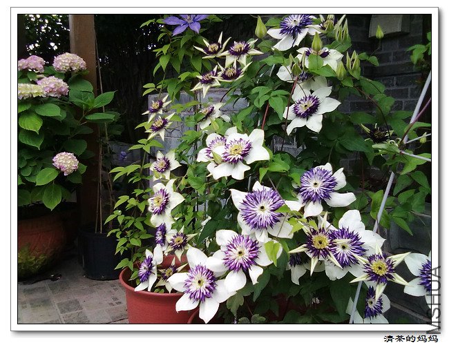 ��Ƭ5.14. 071.jpg