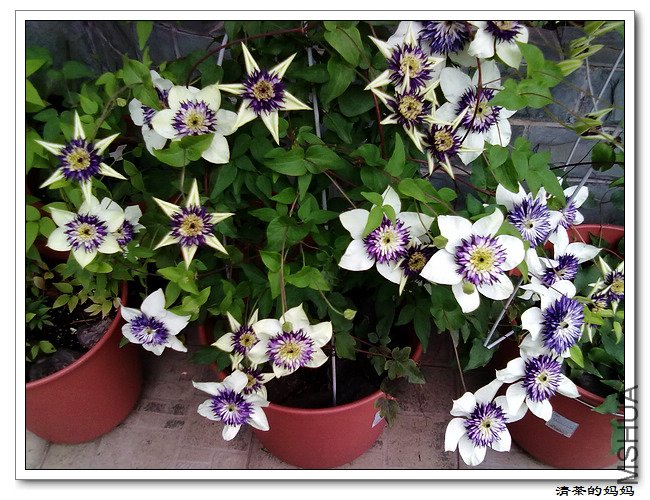 ��Ƭ5.14. 072.jpg