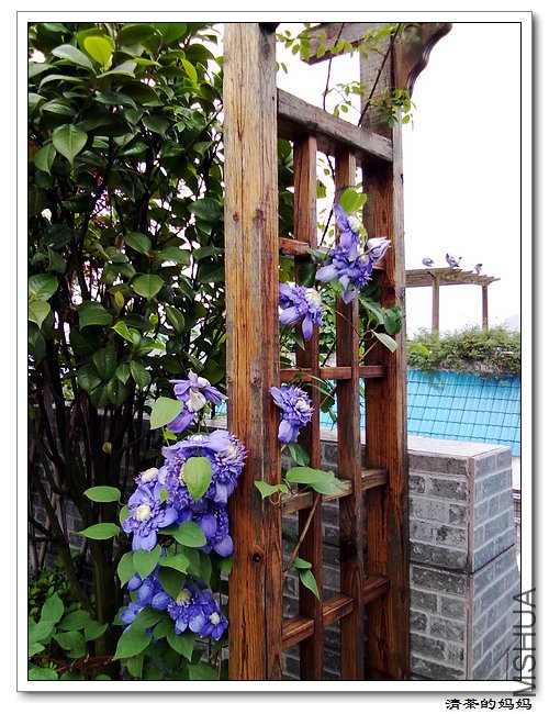 ��Ƭ5.14. 070.jpg