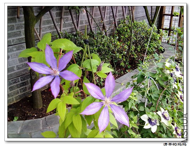 ��Ƭ5.14. 073.jpg