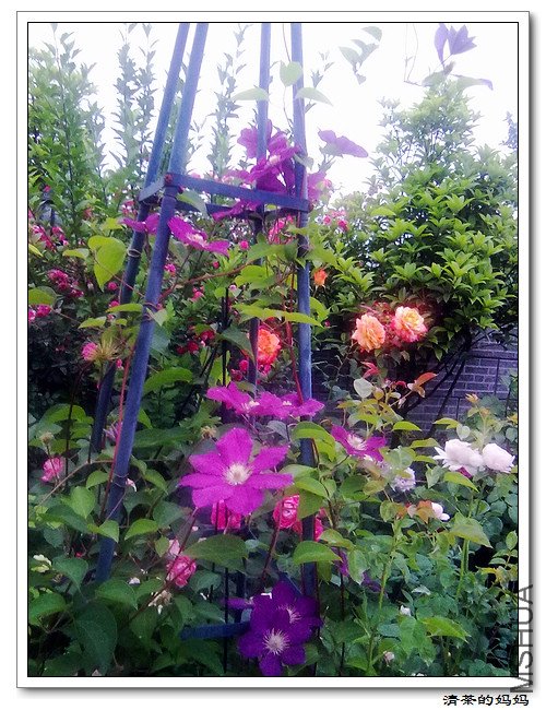 ��Ƭ5.13. 017.jpg