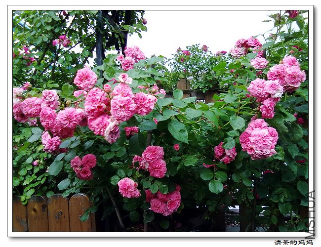 5.14.��Ƭ 046.jpg