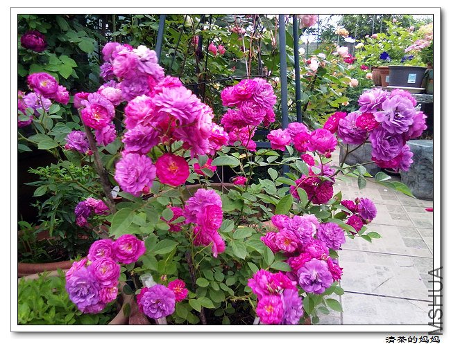 ��Ƭ 5.7.016.jpg