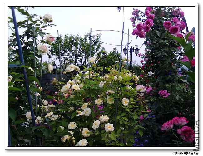 ��Ƭ 5.7.033.jpg