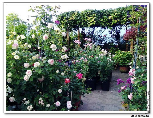 ��Ƭ 5.7.042.jpg