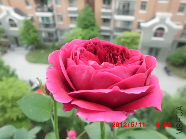 CIMG0836.JPG