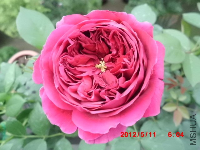 CIMG0837.JPG