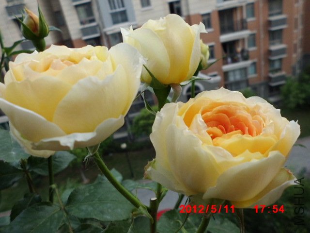 CIMG0845.JPG
