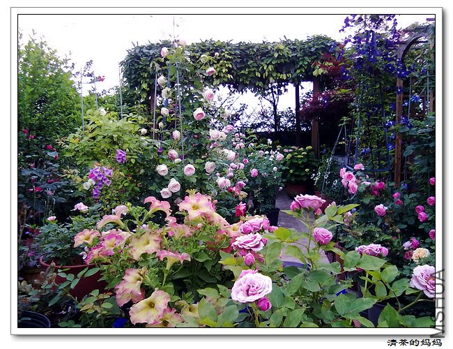 ��Ƭ 5.11.011.jpg