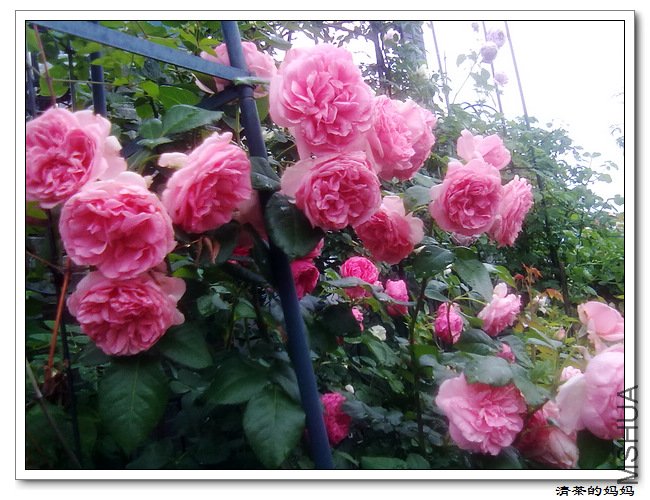 ��Ƭ 5.11.026.jpg