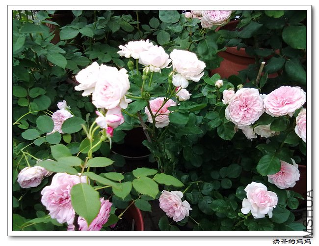 ��Ƭ 5.14.039.jpg