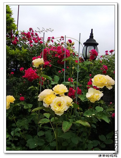 ��Ƭ 5.14.053.jpg