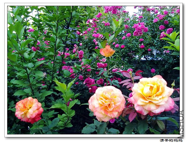 ��Ƭ 5.14.063.jpg