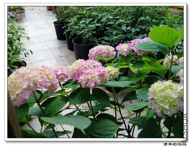 ��Ƭ 5.14.075.jpg