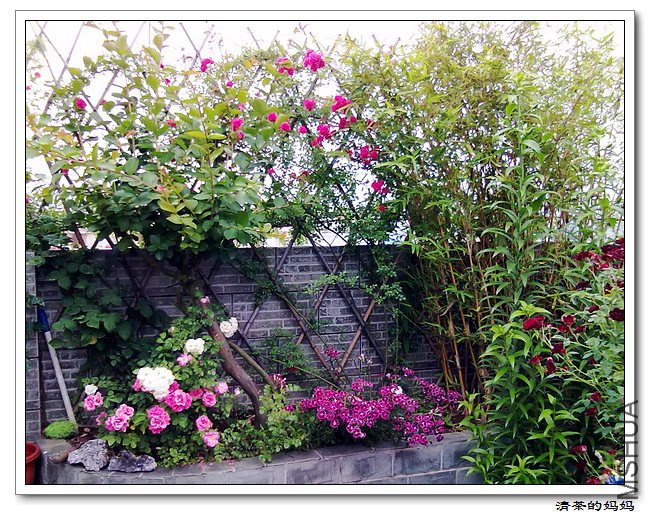 ��Ƭ 5.14.079.jpg