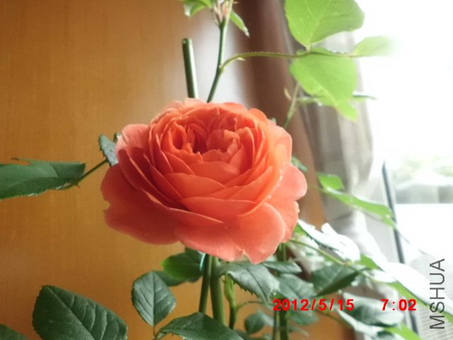 CIMG0873.JPG