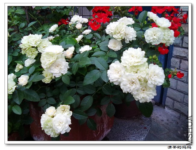 ��Ƭ5.7. 010.jpg