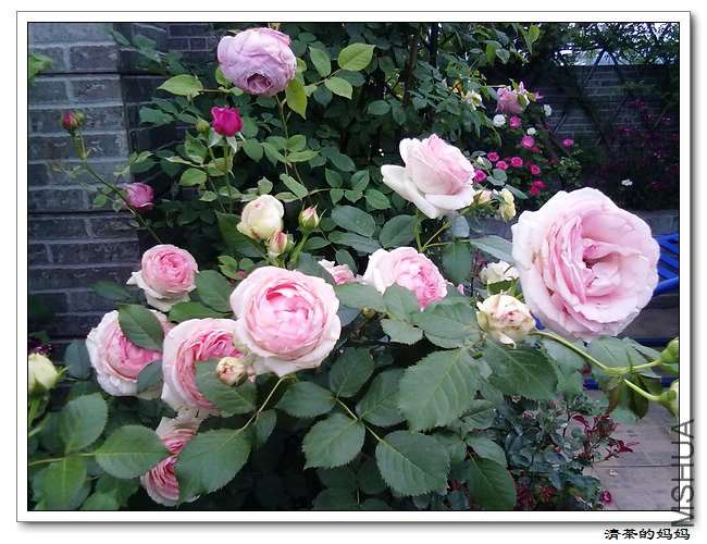 ��Ƭ5.7. 019.jpg