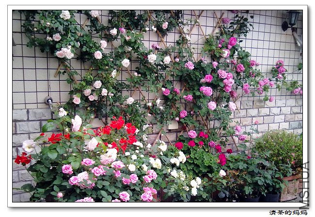 ��Ƭ5.7. 043.jpg