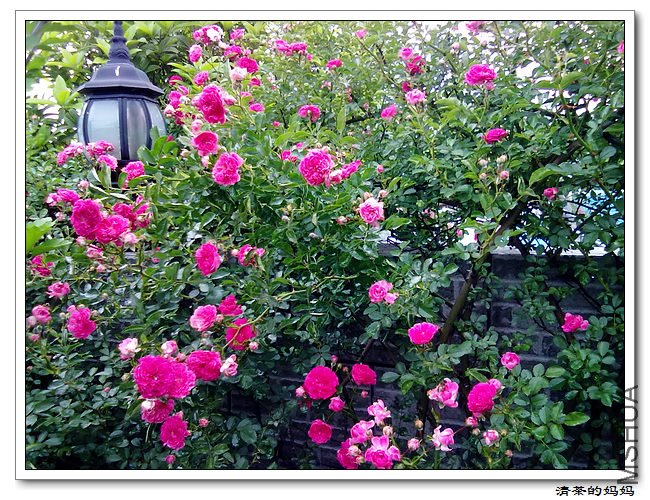 ��Ƭ5.11. 013.jpg