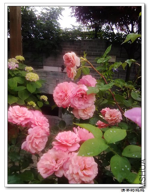 ��Ƭ5.11. 029.jpg