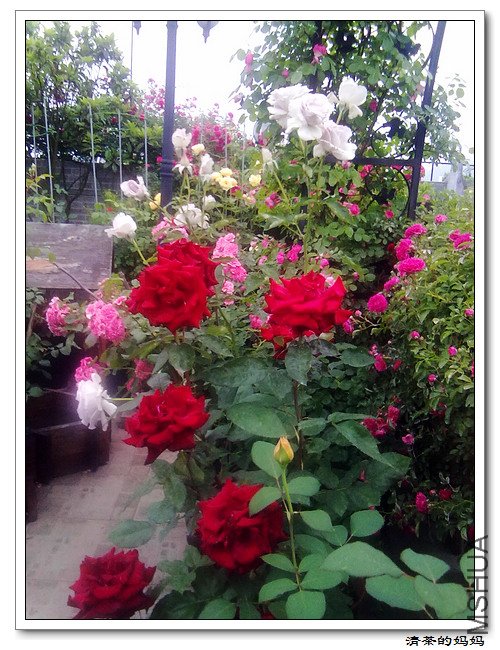 ��Ƭ5.13. 021.jpg