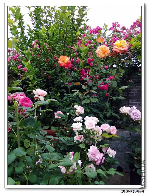 ��Ƭ5.14. 040.jpg