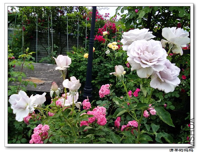 ��Ƭ5.14. 043.jpg