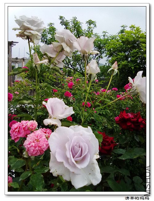 ��Ƭ5.14. 044.jpg