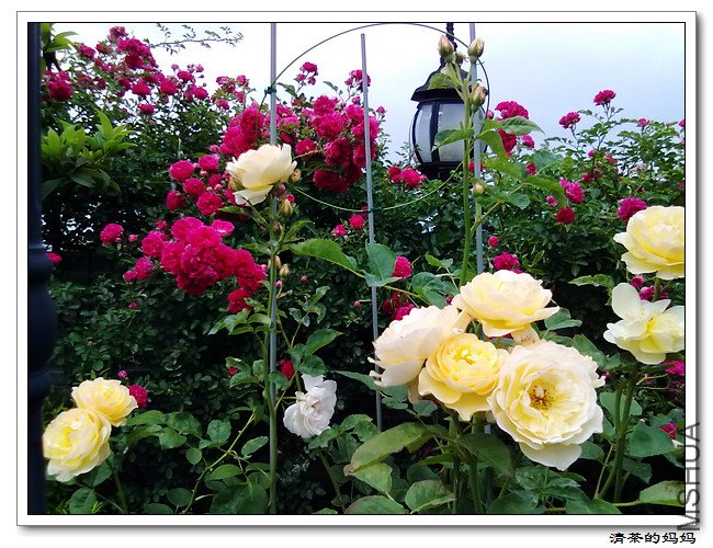 ��Ƭ5.14. 045.jpg