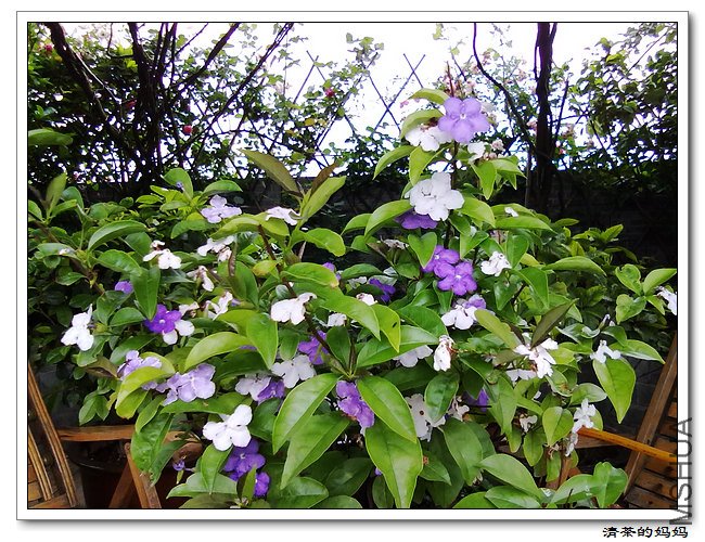 ��Ƭ5.14. 048.jpg