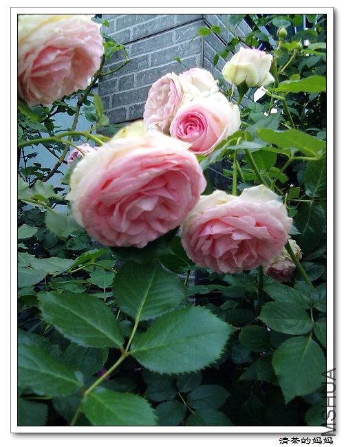 ��Ƭ5.14. 057.jpg