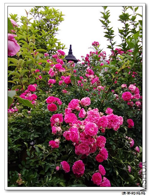 ��Ƭ5.14. 059.jpg