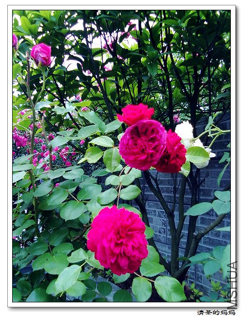 ��Ƭ5.14. 064.jpg