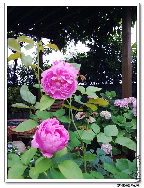 ��Ƭ5.14. 067.jpg