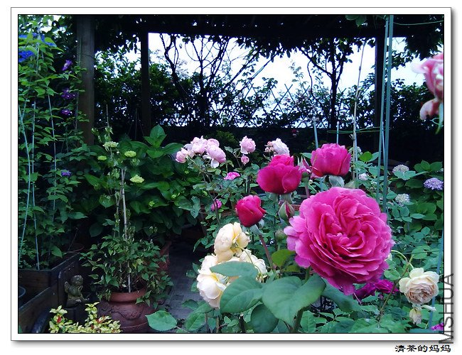 ��Ƭ5.14. 069.jpg