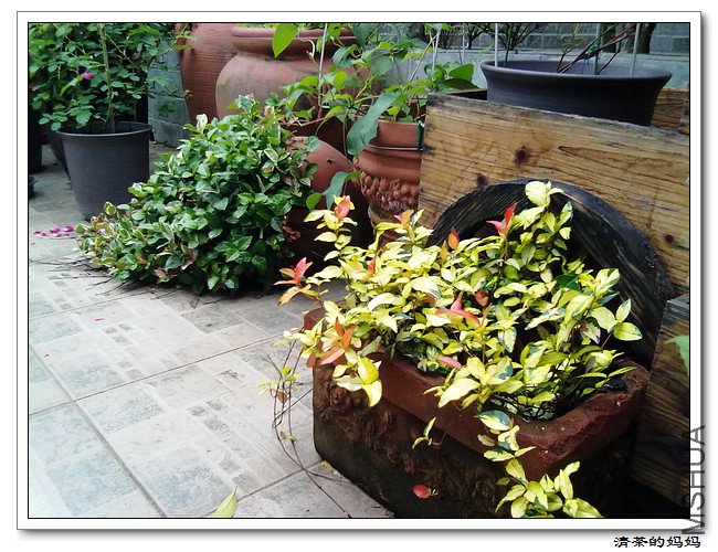 ��Ƭ5.14. 074.jpg