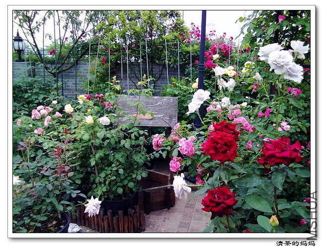 ��Ƭ5.14. 078.jpg