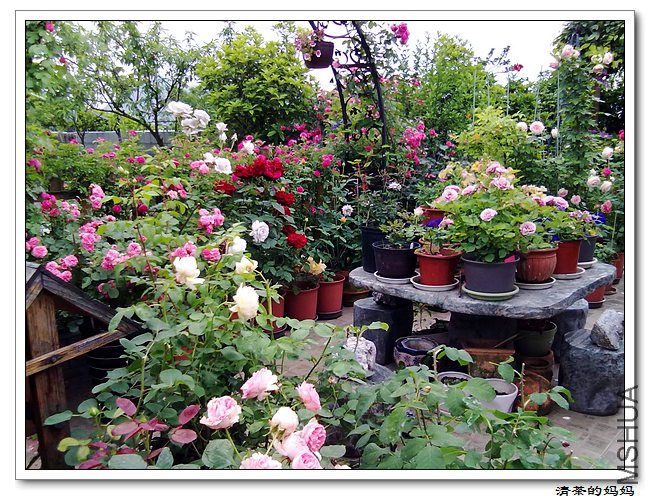 ��Ƭ5.14. 080.jpg