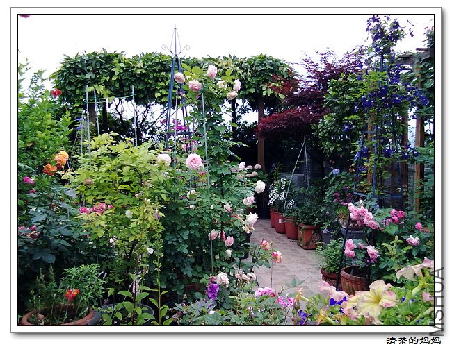 ��Ƭ5.14. 082.jpg