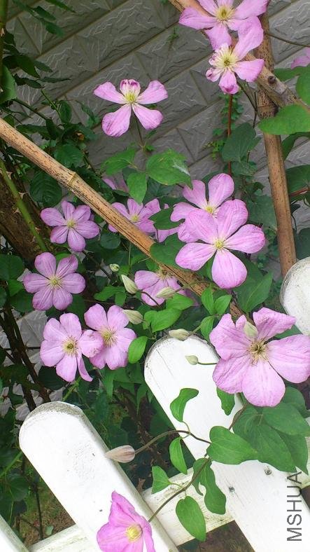 Rotation of DSC_0924.jpg