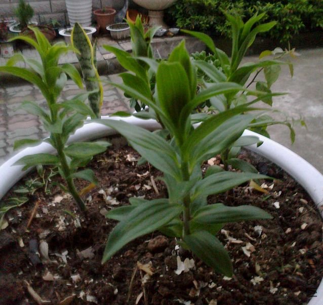 20120508547.jpg