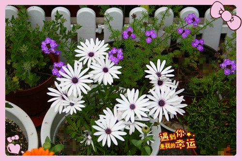 ��Ƭ 014_������Ŀ.jpg