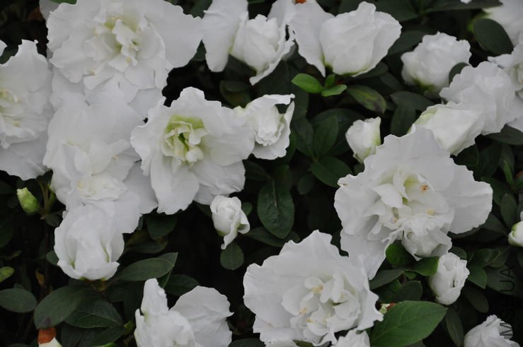 ��ĵ�� 1.JPG