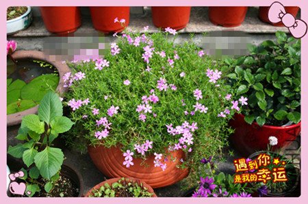 ��Ƭ 016_������1_����.jpg